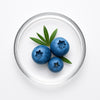 Juniper Berry Essential Oil