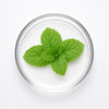 Peppermint Oil