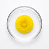 Helichrysum Essential Oil