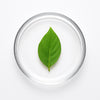 Camphor