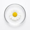 Roman Chamomile Essential Oil