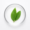 German Chamomile Essential Oil